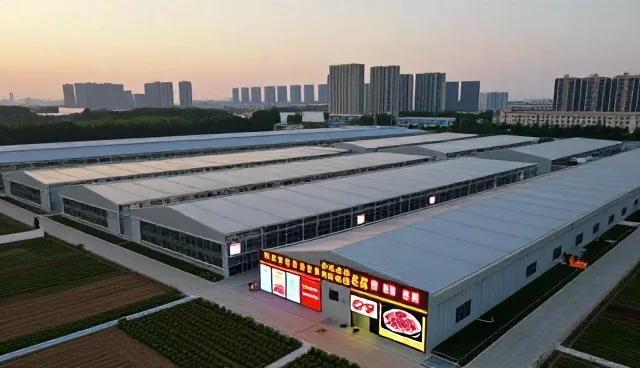 定制包装食品在节日市场中的应用策略